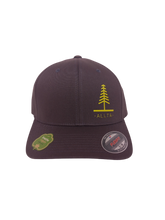 Load image into Gallery viewer, Forest Flexfit Cap - Dark Grey