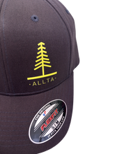 Load image into Gallery viewer, Forest Flexfit Cap - Dark Grey