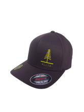 Load image into Gallery viewer, Forest Flexfit Cap - Dark Grey